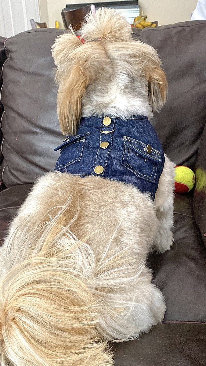 Classic Denim Dog Vest