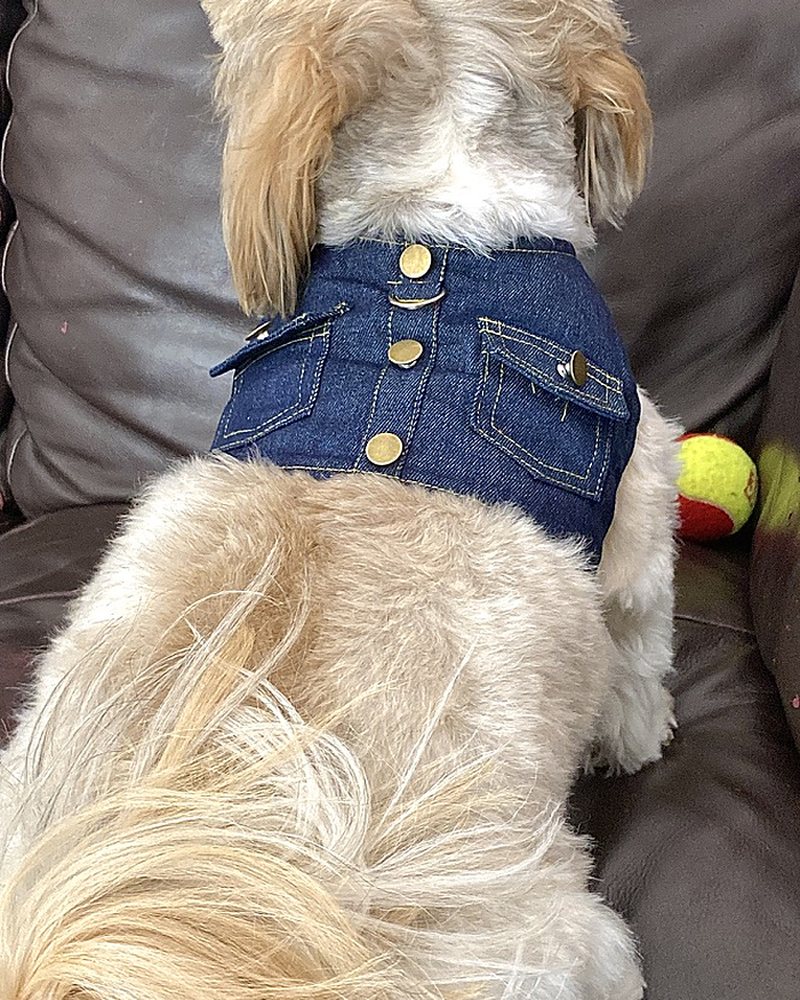 Classic Denim Dog Vest