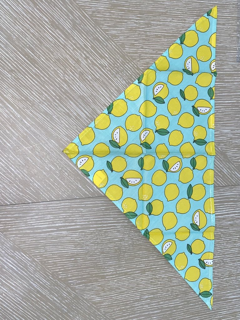 Lemon Drop Dog Bandana photo 2