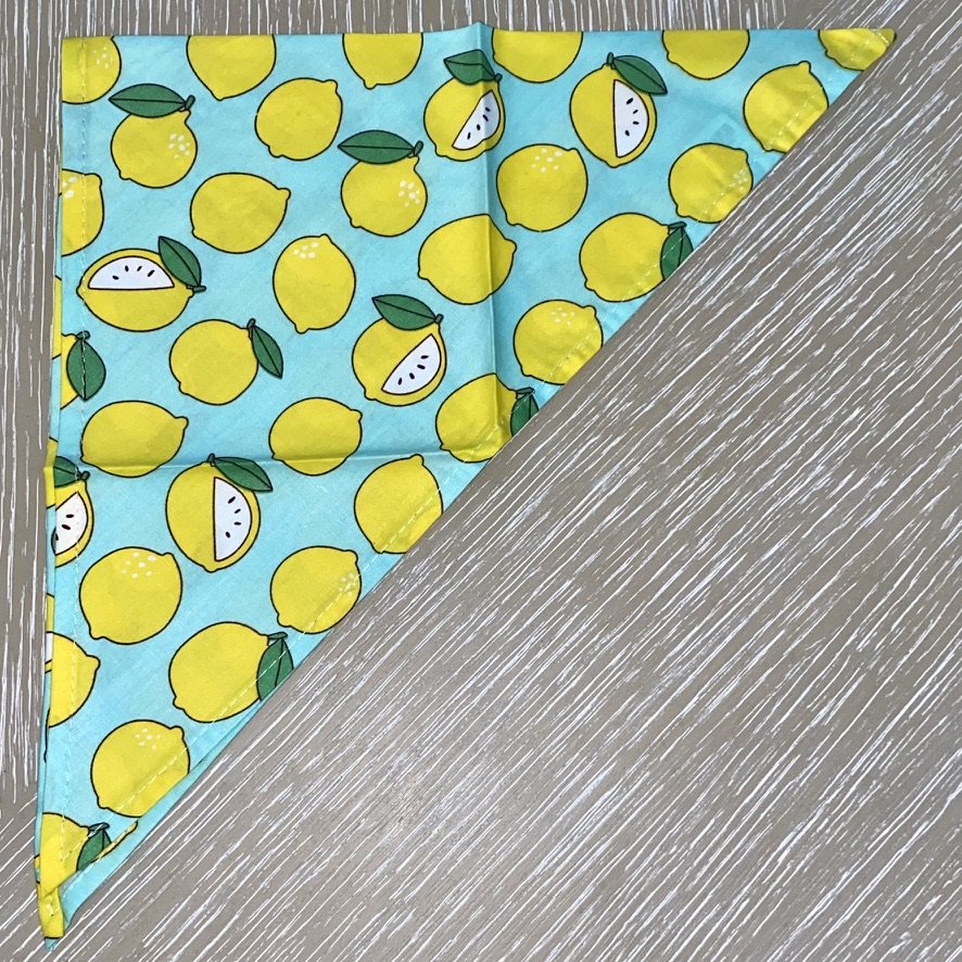 Lemon Drop Dog Bandana photo 3